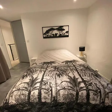 Le Boldieu- Duplex -allee Paul Riquet- Wifi- Tv Connecte Beziers
