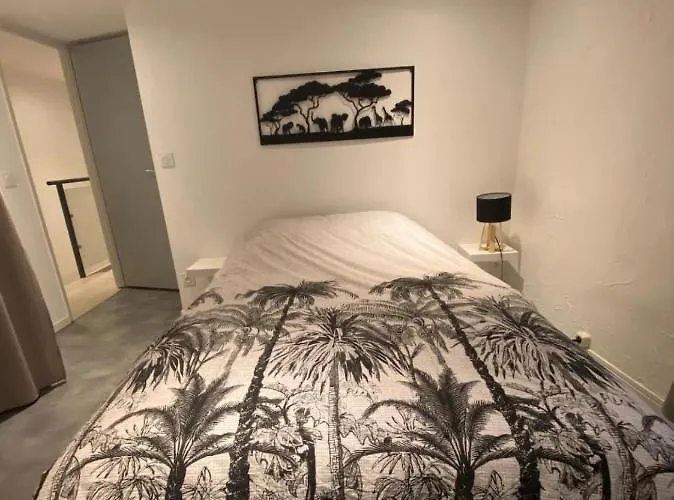 Le Boldieu- Duplex -allée Paul Riquet- Wifi- Tv Connecté Béziers